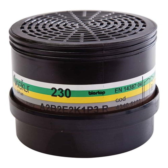 EKASTU filtro combinato multirange 230 A2B2E2K1-P3 ( 4000370784 )