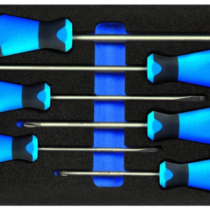 Modulo utensili GEDORE 1500 CT1-2150 PH 6 pezzi 1/3 ( 4000881215 )