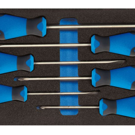 GEDORE Werkzeugmodul 1500 CT1-2150 PZ 6-teilig 1/3-Modul ( 4000881216 )