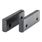 Ganascia RÖHM SKB larghezza ganascia 125 mm ( 4124042001 )