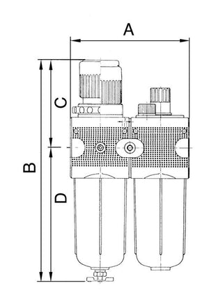 RIEGLER Wartungseinheit MULTIFIX Gewinde G 1/4 ″ halbautomatisch ( 4588881035 )