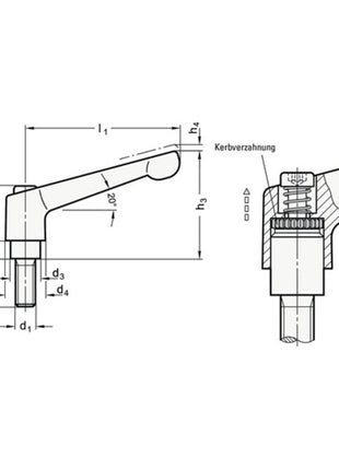 GANTER Verstellbarer Klemmhebel GN 300 d1 M 12 mm ( 4601000488 )