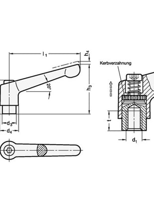 GANTER Palanca de sujeción ajustable GN 300 d1 M 8 mm (4601000572)