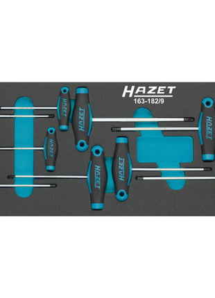 HAZET Module à outils 163-182/9 9 pièces ( 8000465896 )