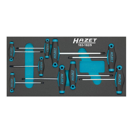 HAZET Module à outils 163-182/9 9 pièces ( 8000465896 )