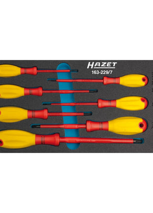 HAZET Module à outils 163-229/7 7 pièces ( 8000465899 )