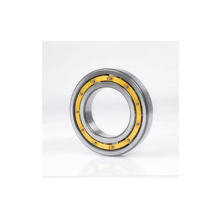 FAG Cuscinetto a sfere a gola profonda 61880 -M Ø interno 400 mm Ø esterno 500 mm ( 8000514668 )