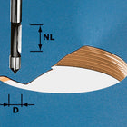 Festool HW S8 D8/19 Bohrfräser ( 491037 ) für OF 900, OF 1000, OF 1010, OF 1010 R, OF 1400, OF 2000, OF 2200