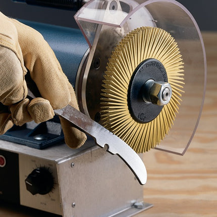 3M Radialbürstenscheibe BB-ZB Typ A Ø150xB12x25,4mm 36 ( 4000841200 )