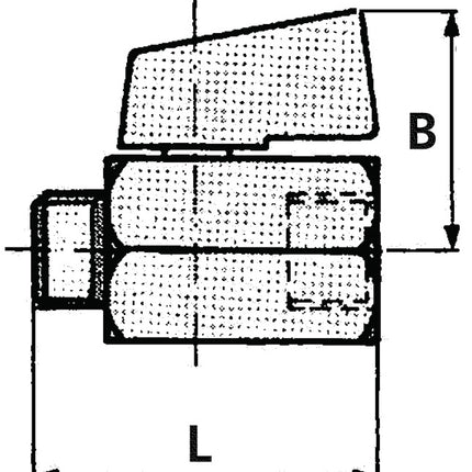 RIEGLER mini valvola a sfera VALVOLA LINEA 6 mm 1/4 ( 4163000190 )