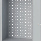 Armadio a muro BEDRUNKA+HIRTH H750xL500xP200 mm ante in lamiera piena ( 9000426220 )