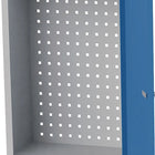 Armadio a muro BEDRUNKA+HIRTH H750xL500xP200 mm ante in lamiera piena ( 9000426221 )