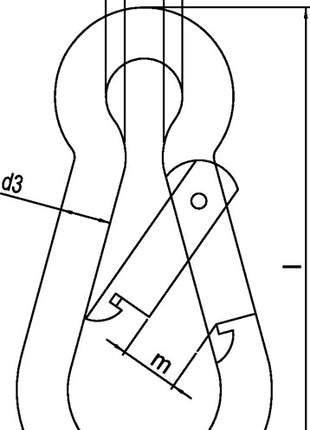 Karabinerhaken DIN 5299, Form C ( 1000120180 ) Länge 50 mm Drahtstärke 5 mm galvanisch verzinkt