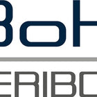 Disco in gomma Veribor ( 4000817231 ) testa Ø 120 mm Veribor(R)