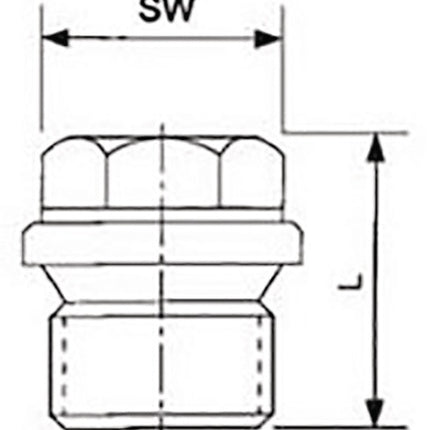Tappo a vite Springer DIN 910 ISO 228-1 ( 4000000267 ) NPS=1/4 ″ L 21 mm