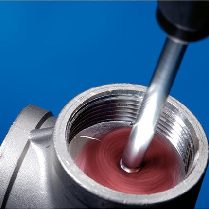 Stella abrasiva PFERD POLINOX ( 8000434402 ) Ø 19 mm grana 100