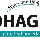 Cerniera per cassa Hohage ( 3000256186 ) L.aperta300 mm blu cromato francese