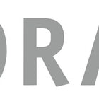 Flora Randsteinputzer ( 4000819543 ) gelb verzinkt