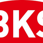 BKS Serratura a bussola 0353 ( 3000250761 ) Maniglia a bussola / molla 20 x 260 mm