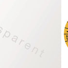 Mehrjahresprüfplakette ( 9000477099 ) B25xL60 mm Folie