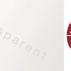 Adesivo per l'ispezione dei cavi per un anno ( 9000477102 ) L25xL60 mm foglio di alluminio