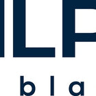 Lama di ricambio per troncatrice Perfekt III ( 4000814532 ) lunghezza lama 550 mm denti per pollice 24 f.4000 814 516