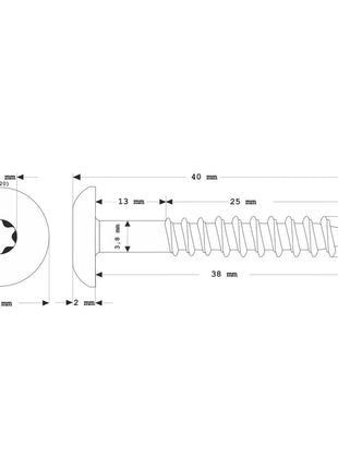 Tornillos para fachada Meisterling 4,8x38 mm 100 piezas (010020000221) 12 mm cabeza plana gris claro con rosca parcial Torx Acero inoxidable V2A