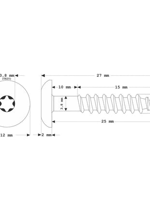 Meisterling Vis de façade 4,8x25 mm - 100 pièces (010020000021) tête plate 12 mm gris clair + Filetage partiel Torx en acier inoxydable V2A