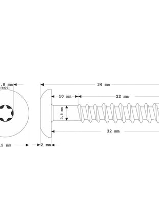 Meisterling Fassadenschrauben 4,8x32 mm 100 Stück ( 010020000101 ) 12 mm Flachkopf weiß mit Torx Teilgewinde V2A Edelstahl