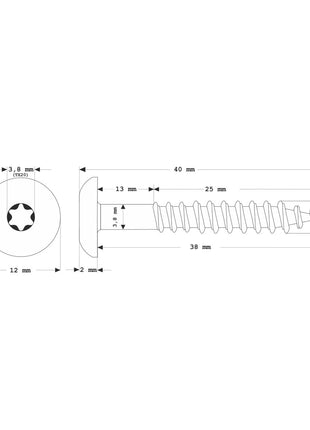 Meisterling Vis de façade 4.8x38 mm - 100 pièces (010020000201) 12 mm tête plate blanche + Filetage partiel Torx V2A acier inoxydable