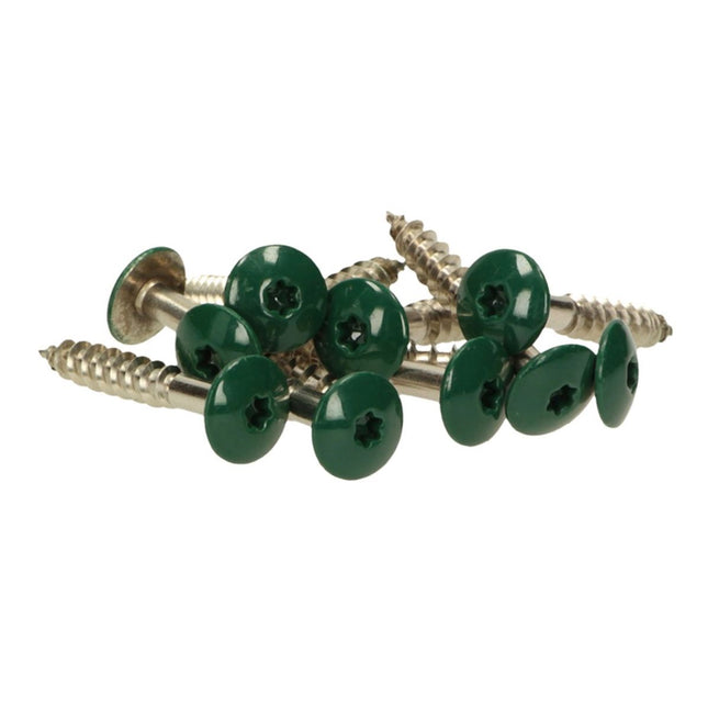 Meisterling Vite per facciate 4,8x38 mm, 100 pz. ( 010020000241 ) - Testa piatta da 12mm, verde scuro, filettatura parziale Torx, in acciaio inossidabile V2A