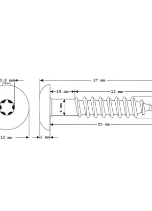 Meisterling Vis de façade 5,5x25 mm - 100 pièces (010030000011) tête plate 12 mm anthracite + Filetage partiel Torx acier inoxydable V4A