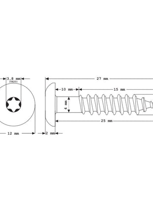 Meisterling Vis de façade 5,5x25 mm - 100 pièces (010030000021) tête plate 12 mm gris clair + Filetage partiel Torx V4A acier inoxydable