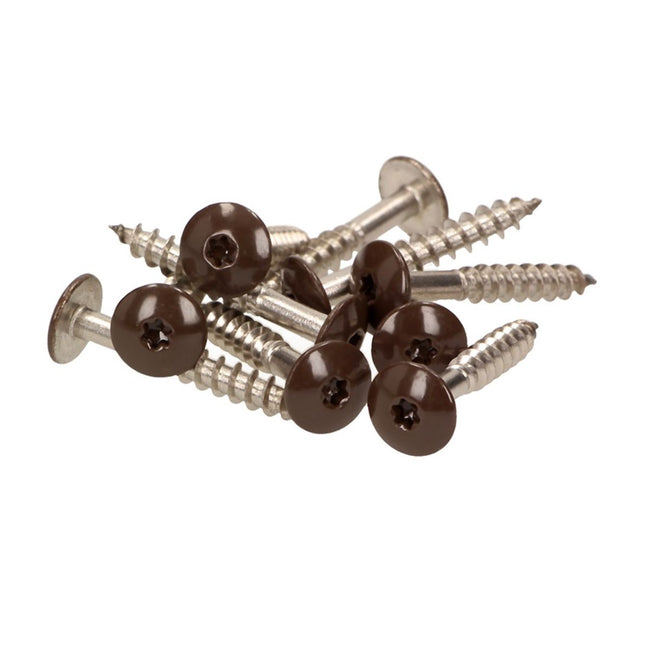 Meisterling Viti per facciate 5,5x25 mm - 100 pz. ( 010030000031 ) 12 mm Testa piatta, marrone scuro, con filetto parziale Torx V4A in acciaio inossidabile