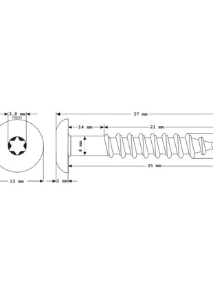 Meisterling Vis de façade 5,5x35 mm, 100 pcs., tête plate 12 mm, filetage partiel, empreinte Torx, acier inoxydable V4A, vert foncé (010030000141)