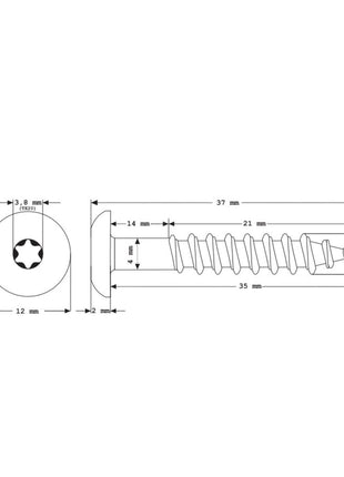 Meisterling Vis de façade 5,5x35 mm, 100 pcs., tête plate 12 mm, filetage partiel, empreinte Torx, acier inoxydable V4A, bleu gentiane (010030000161)