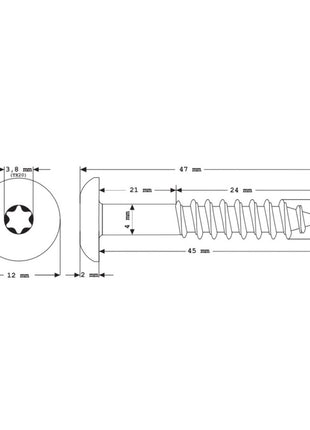 Meisterling Vis de façade 5,5x45 mm, 100 pcs., tête plate 12 mm, filetage partiel, empreinte Torx, acier inoxydable V4A, anthracite (010030000321)