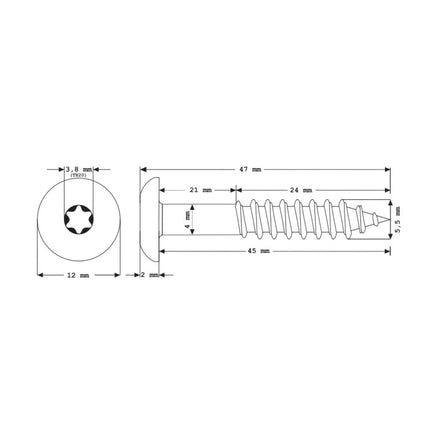 Meisterling Fassadenschrauben 5,5x45 mm 100 Stück ( 010030000321 ) 12 mm Flachkopf anthrazit mit Torx Teilgewinde V4A Edelstahl