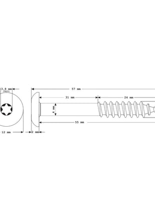 Meisterling Vis de façade 5,5x55 mm, 100 pcs., tête plate 12 mm, filetage partiel, empreinte Torx, acier inoxydable V4A, gris clair (010030000441)