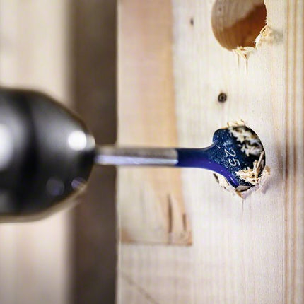 Bosch EXPERT SelfCut Speed Set di Mecchie a spada 16 / 32 mm - 7 pz. ( 2608900334 ) per legno