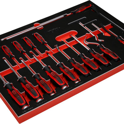 KS TOOLS Serie di giraviti e ganci nell'inserto in schiuma, 19 pz ( 811.1019 )