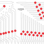 KS TOOLS Inserto in schiuma vuoto per 811.0038 ( 811.0038-97 )
