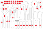 KS TOOLS Leere Schaumstoffeinlage zu 811.0043 ( 811.0043-97 ) - Toolbrothers