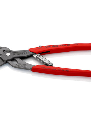 Szczypce do pomp wodnych KNIPEX SmartGrip(R) Długość 250 mm Szerokość zacisku 10-36 mm ( 4000810699 )