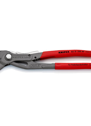 KNIPEX Alicates de sujeción con resorte longitud total 250 mm capacidad máx. 70 mm (4000795336)