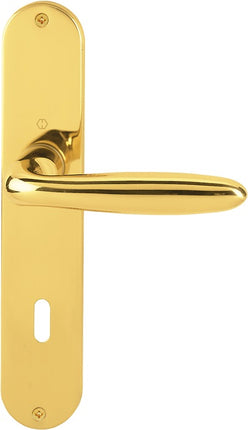 HOPPE set di piastre lunghe Verona M151/302 ottone F71 ( 3000252651 )