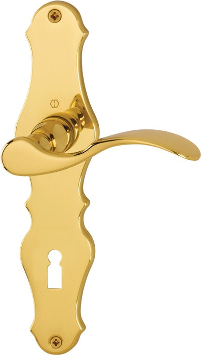 HOPPE set di rosette lunghe Weimar M112SLN/2007 ottone F71 ( 3000253090 )