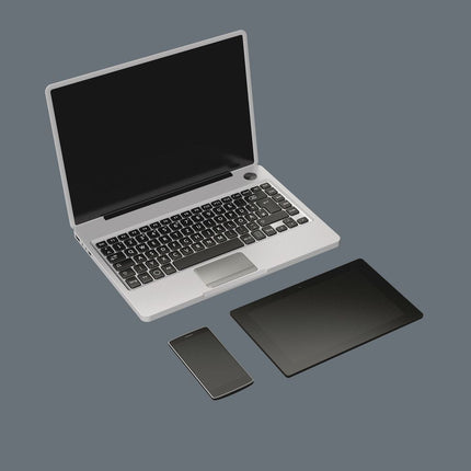 WERA set di cacciaviti meccanici di precisione Kraftform Micro ESD Big Pack 1 da 25 pezzi ( 4000828033 )