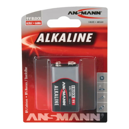 ANSMANN batteria 9 V 6LP3146-E blocco 550 mAh ( 4000901825 )