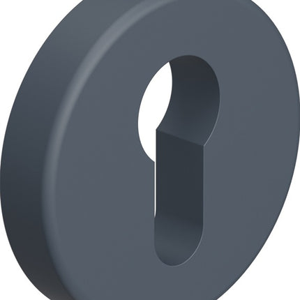 HEWI Rosone a chiave 306.23PBKN 99 Plastica 99 ( 3000207809 )